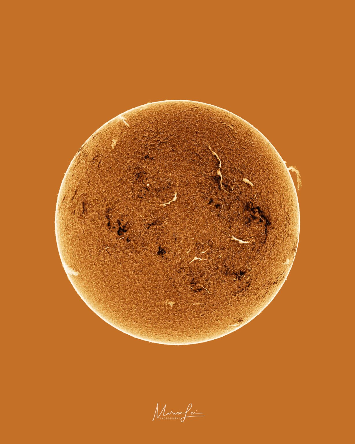The Sun on 4/28/25 captured through a Hydrogen Alpha Solar filter