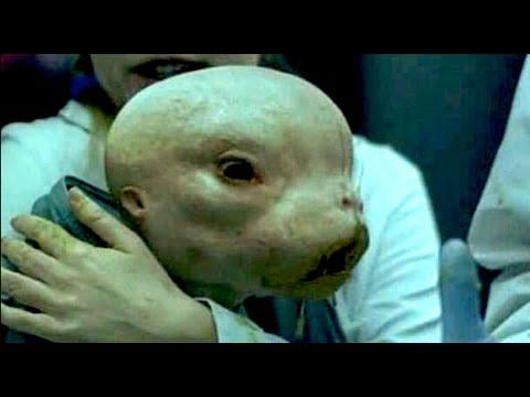 Fascinating talk about Alien Hybrids