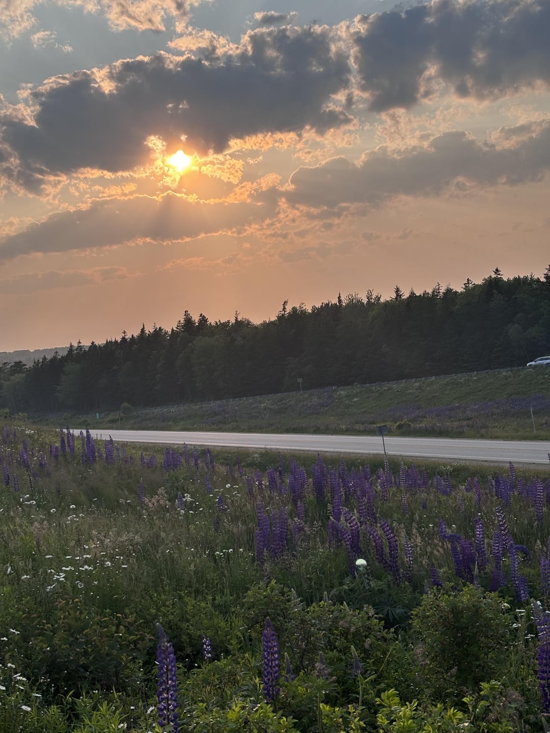 Is this an orb? - UFO FEED