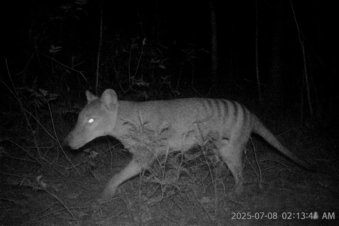 Trust images even 100x less than what you did 5 years ago. Chatgpt made ...