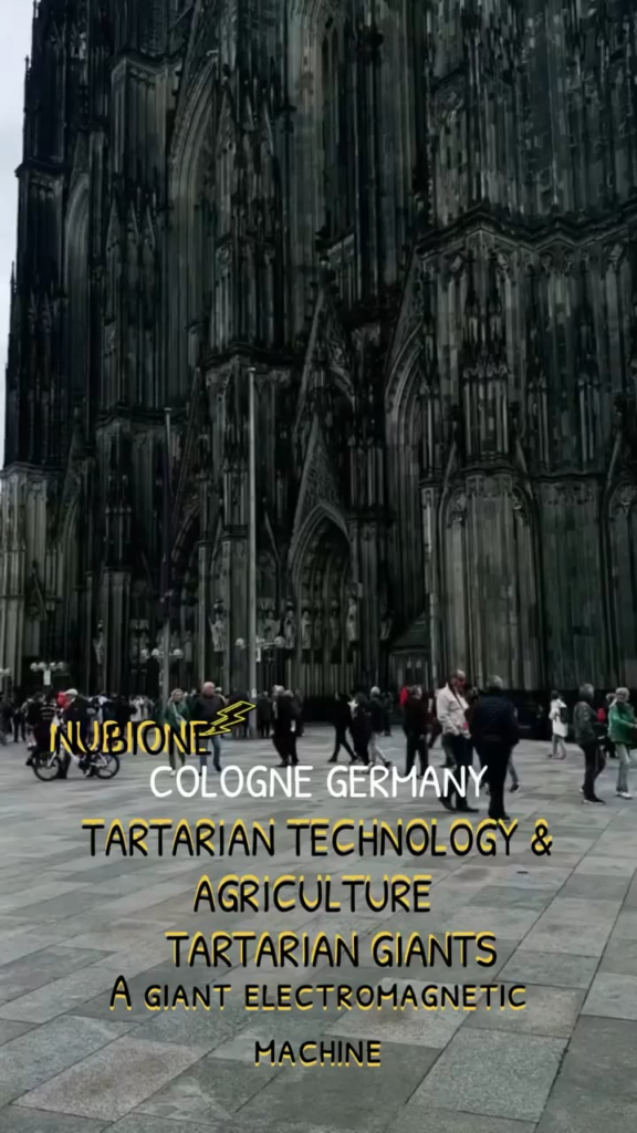 The myth that illiterate peasants built cathedrals like this by brute manual labor across generations is a cover story—such monumental precision and scale reveal hidden knowledge and secret forces erased from history.