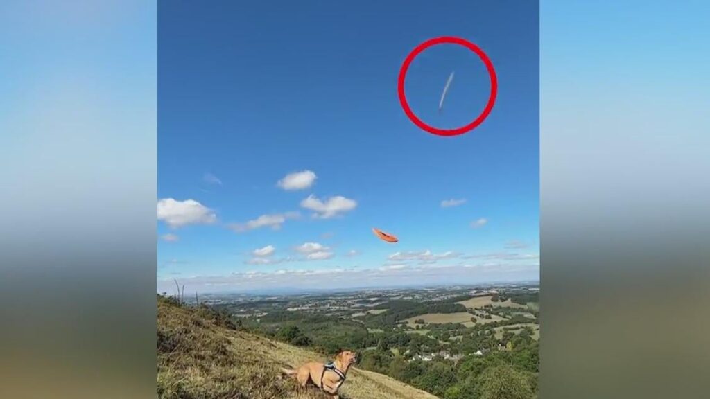 Lue Elizondo "debunks" UFO behind dog video