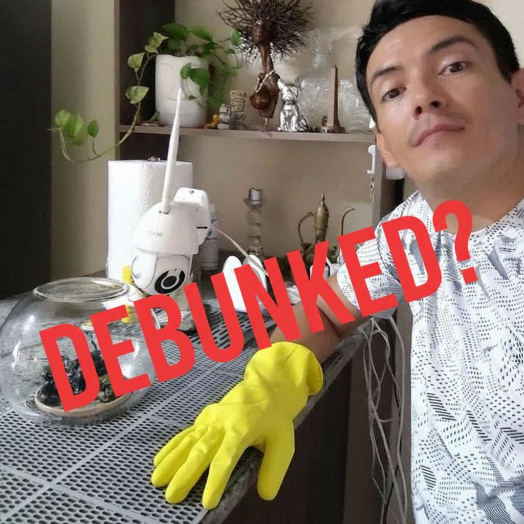 DEBUNKED?  Alleged "Venom-Type Alien" from meteor in Panama is just PDMS & Hexane