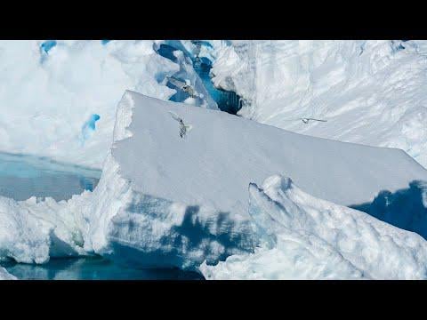 The Artifact Beneath the Ice: Is it Plausible Encounter with Alien Techn...