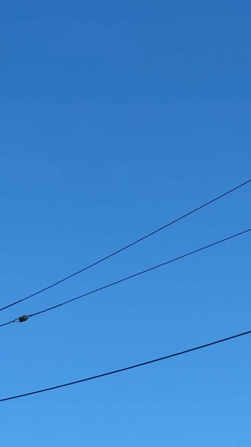 Balloon? Drone? Orb? Balloon? Drone? Orb?