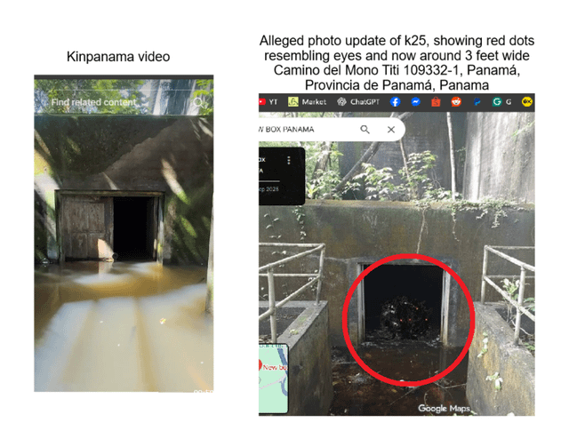 [SPECULATION] The alleged alien organism with "venom"-like features named "K25" allegedly spotted on its spot and has grown larger in Google Maps - Analysis  - K25 Pamana Alien Update