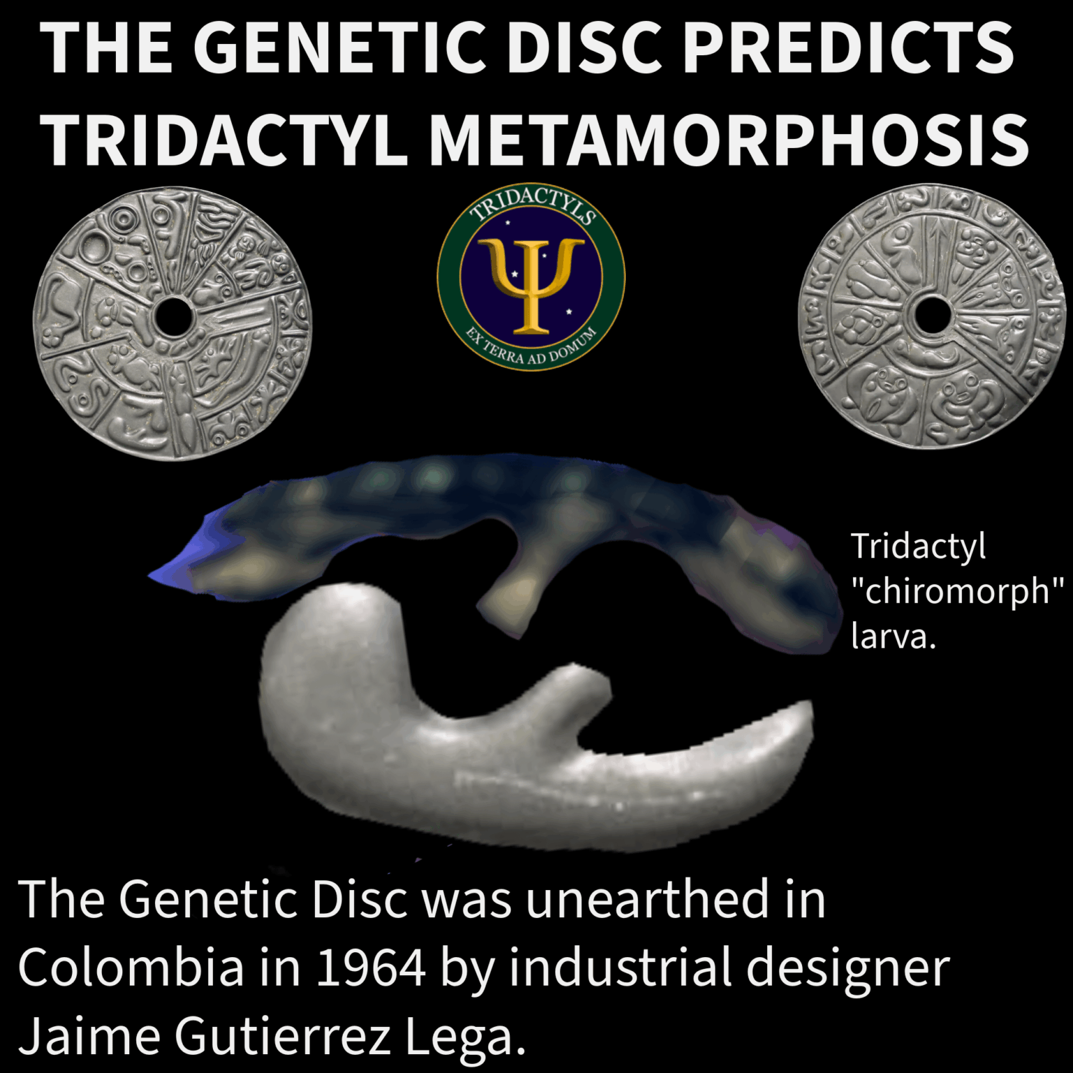 The Genetic Disc predicts Tridactyl metamorphosis.
