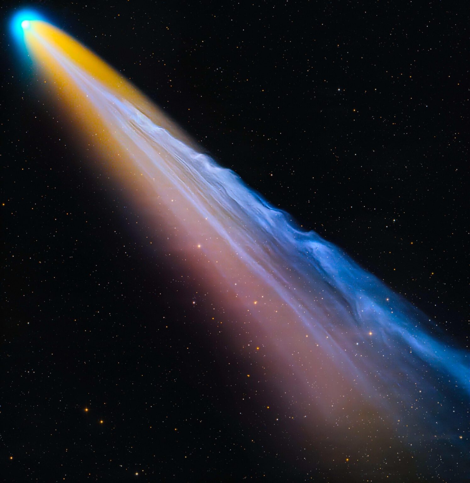 Comet Lemmon's amazing tail