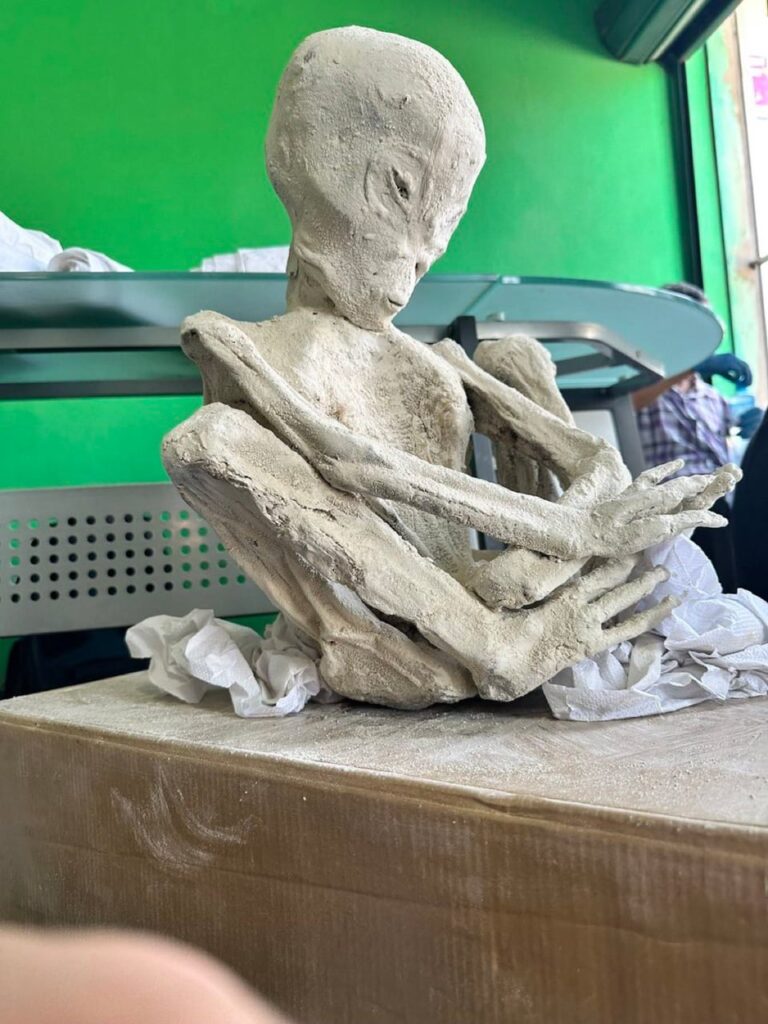 Sebastian is a 3ft tridactyl with gray skin and an implant behind his neck.