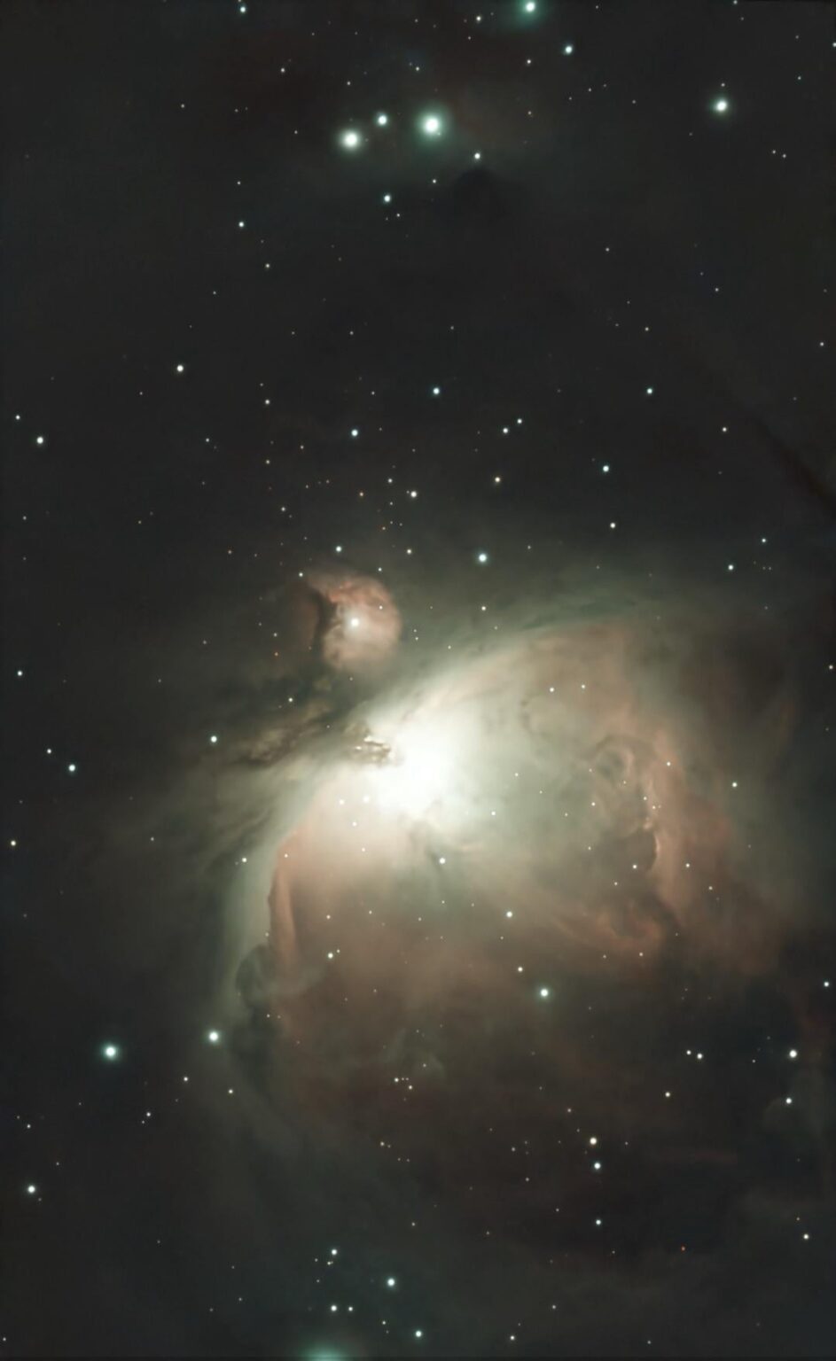 Orion Nebula