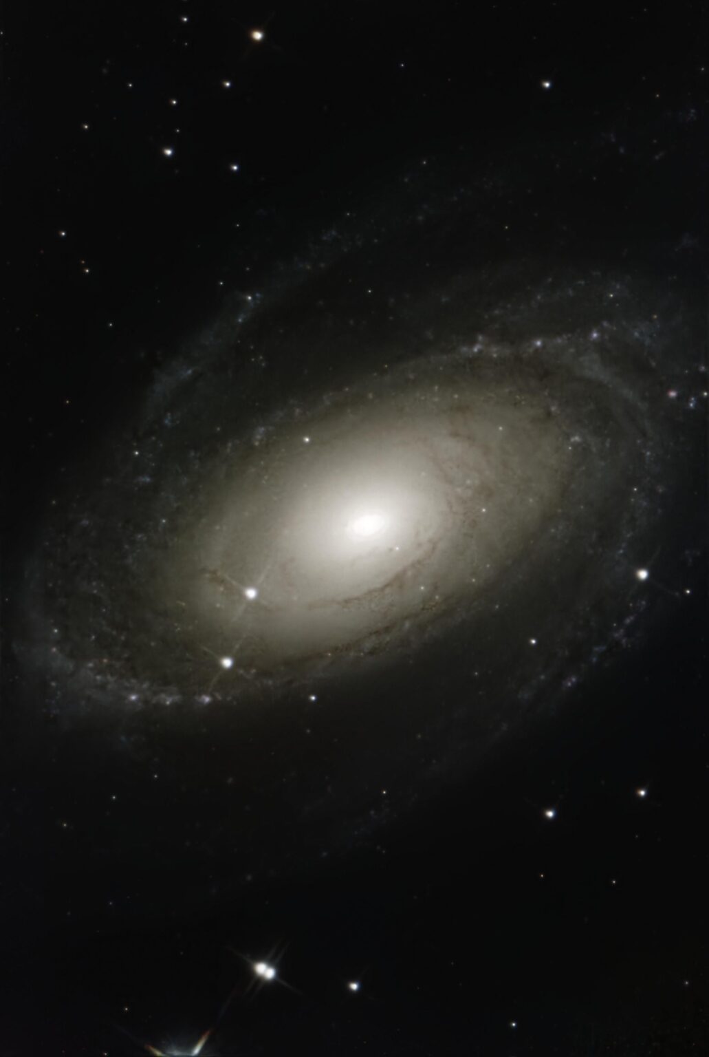 M81