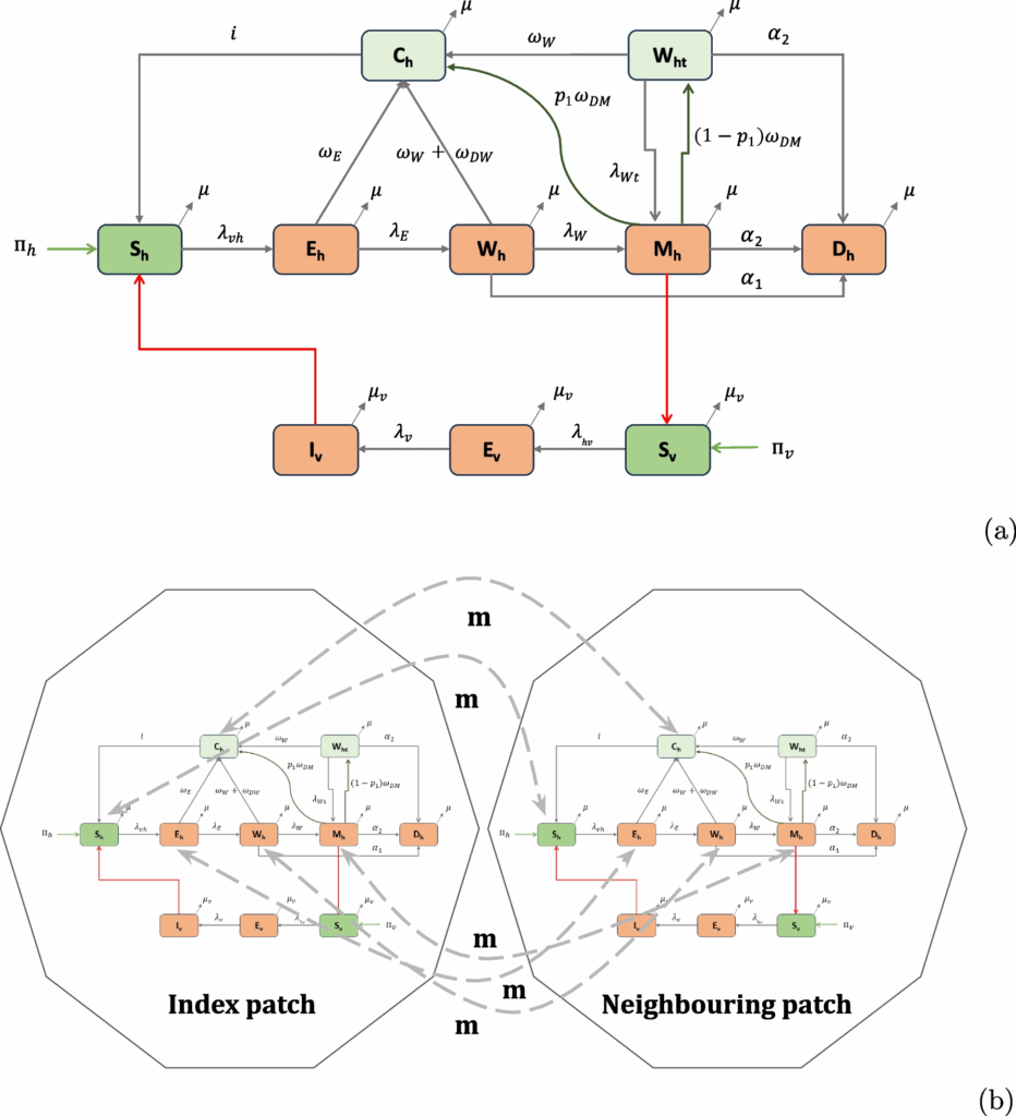 COMET-LF: a compartmental model of dynamics of infection, disease, and elimination strategies for lymphatic filariasis | BMC Infectious Diseases