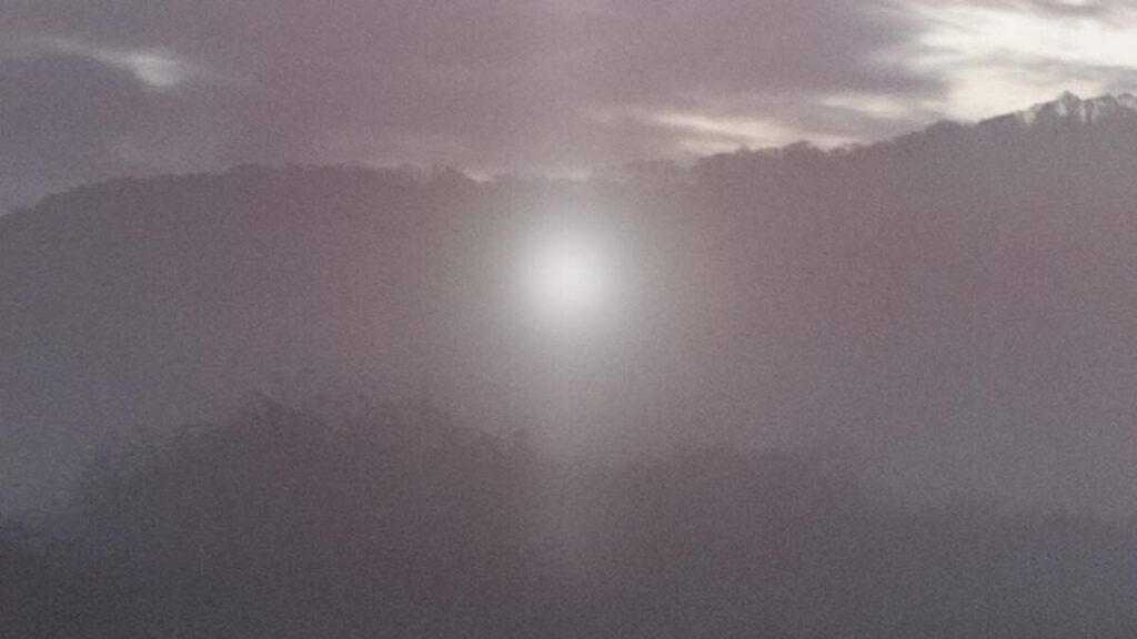 Illinois Driver Spots UFO Frightening Wildlife