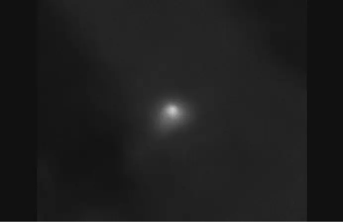 Rare comet 3I/Atlas approaches Earth, now within 300 million km, sparking new studies and global space updates Image sourced via NASA.science.gov