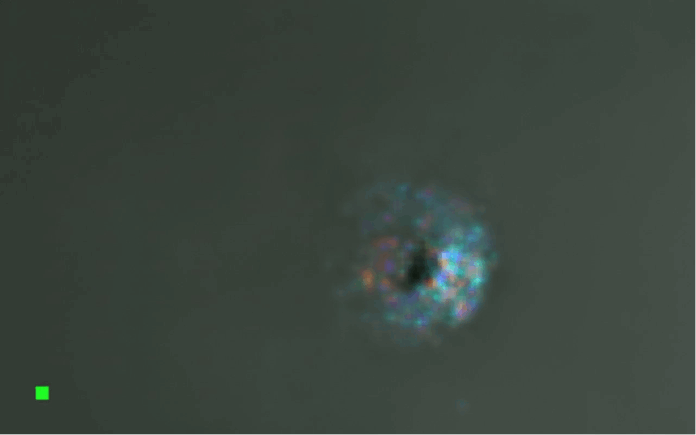 Re-Examination of Early October Image of 3I/ATLAS Reveals a Structured Core and Industrial-Grade Metal Signature That Challenges Natural Explanation Re-Examination of Early October Image of 3I/ATLAS Reveals a Structured Core and Industrial-Grade Metal Signature That Challenges Natural Explanation