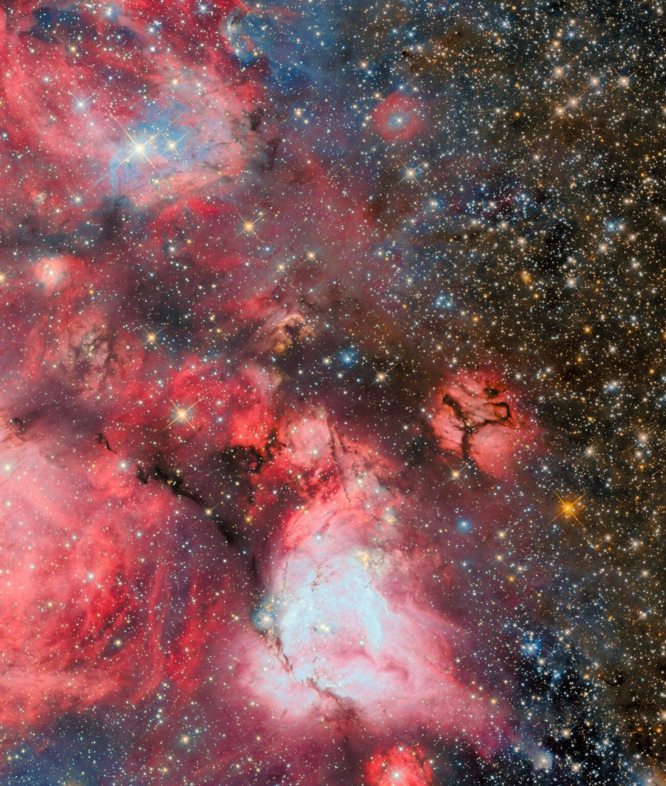 New Hubble Image Brings Gigantic Star-Forming Cloud into Focus