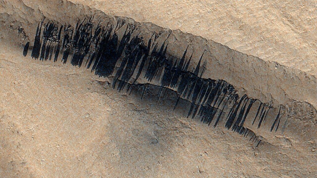 Rare meteoroid impact triggers dust avalanches and new streaks on slopes on Mars