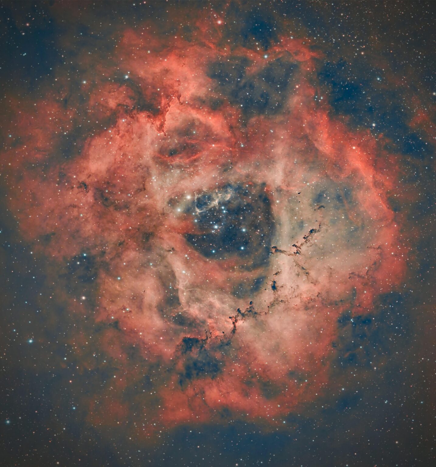 Rosette Nebula from my Backyard