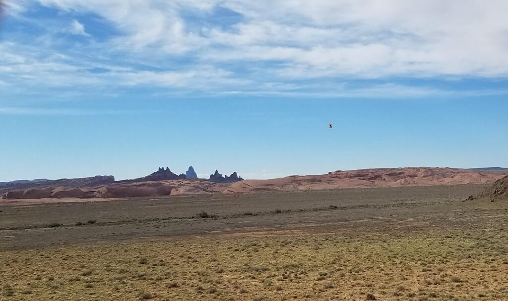 What is this flying object?