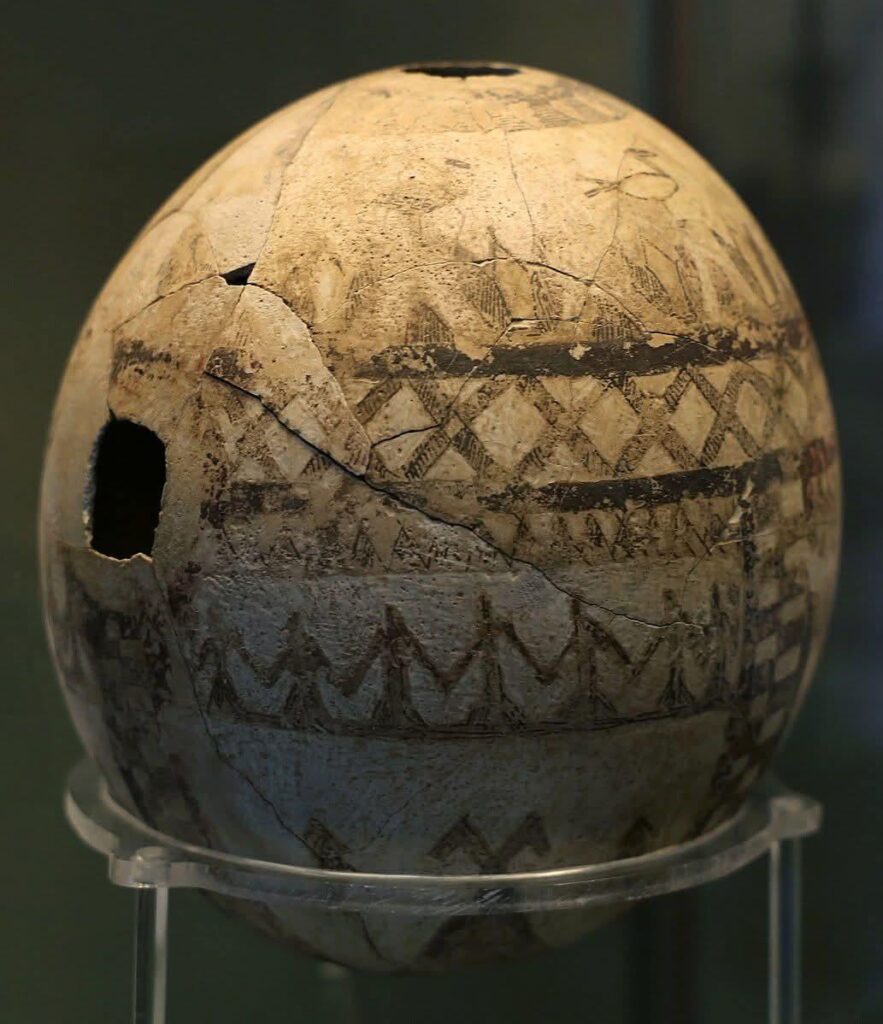 Did you know that ostrich eggs were among the most luxurious goods in ancient Rome? Details below