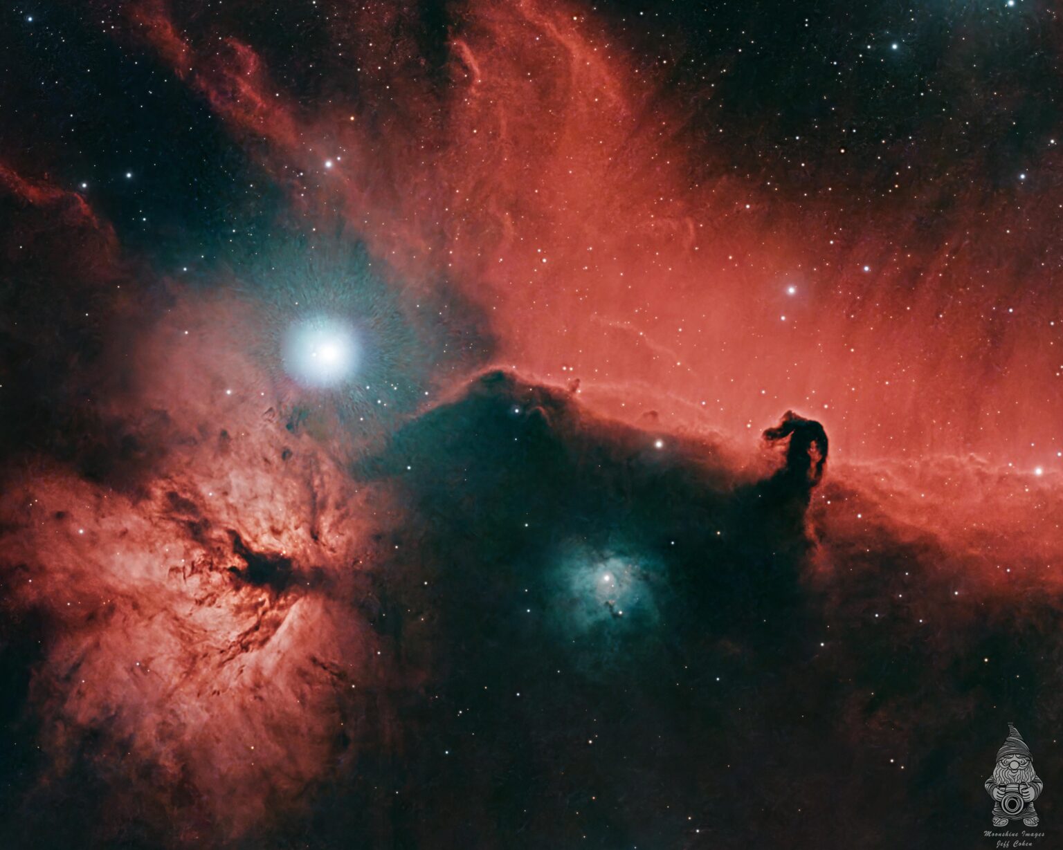 the horsehead and flame nebulas