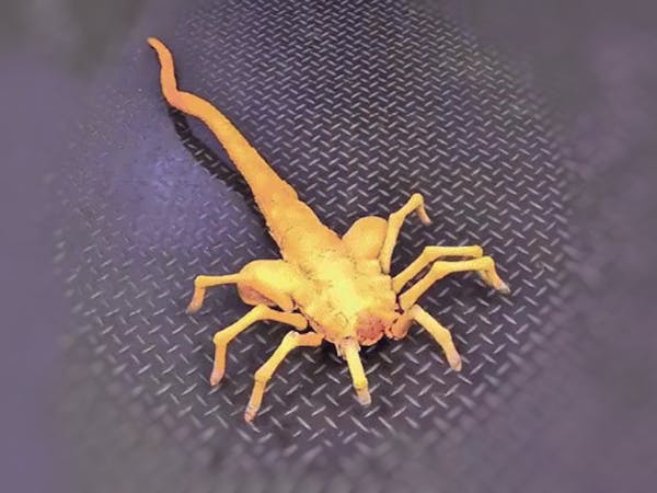 This Autonomous Facehugger, Powered by an Espressif ESP32, Could Give an Alien Nightmares