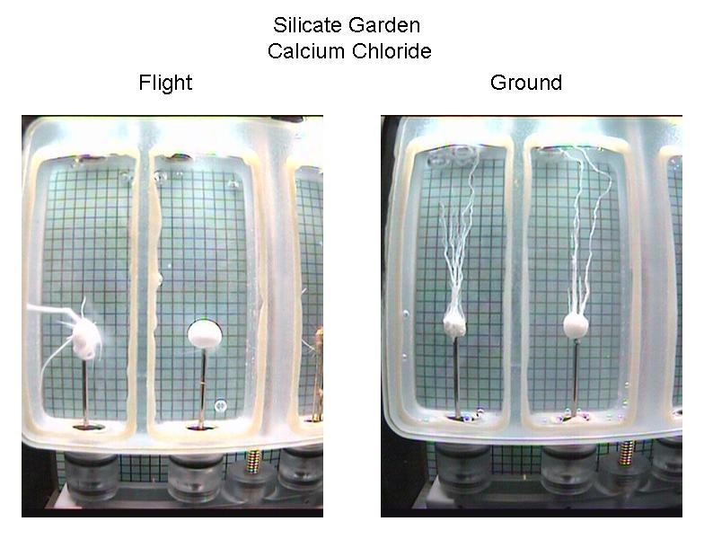 Image of a chemical garden experiment showing the growth pattern of the salts. Credit - NASA