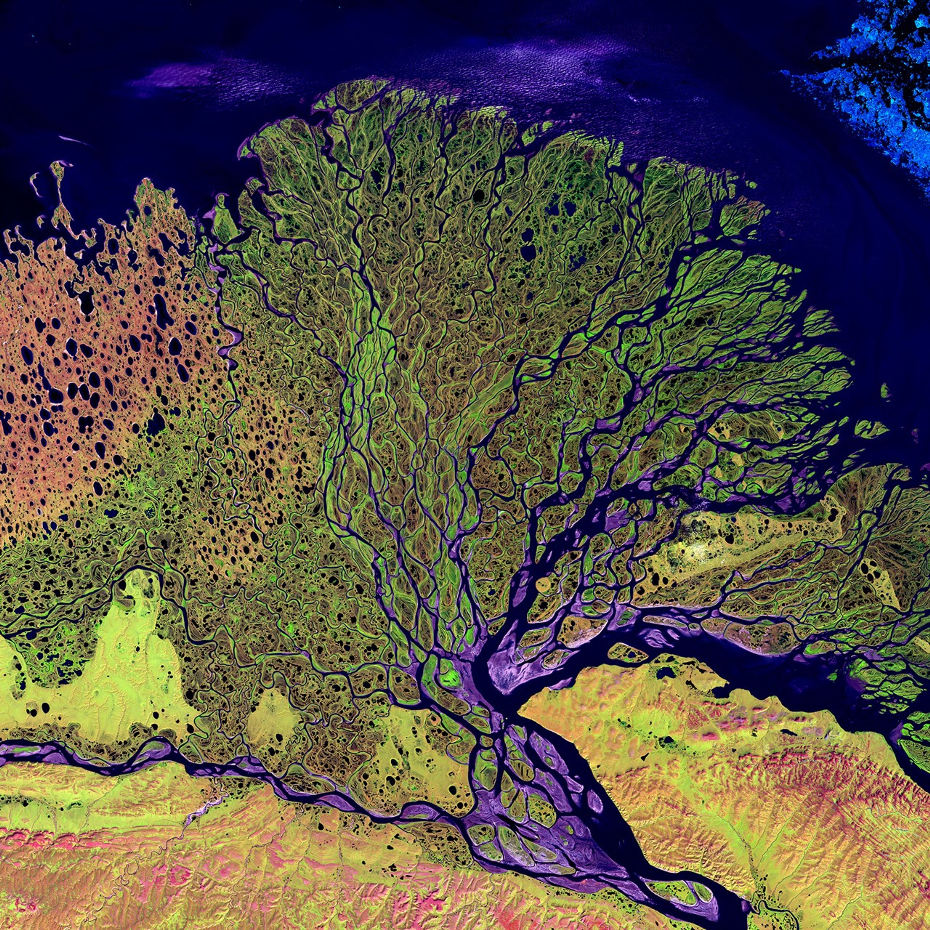 7/27/2000: The Lena River, some 2,800 miles (4,400 km) long, is one of the largest rivers in the world. The Lena Delta Reserve is the most extensive protected wilderness area in Russia. It is an important refuge and breeding grounds for many species of Siberian wildlife.  The Lena Delta can be found on Landsat 7 WRS Path 131 Row 8/9, center: 72.21, 126.15.