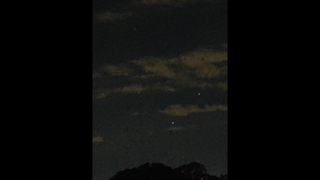 Strange sighting on Takapuna beach on 6th November [Auckland NZ]