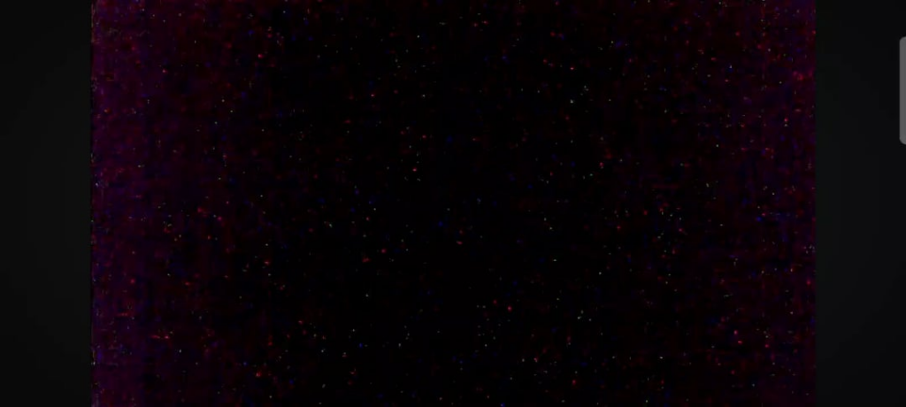 JUST CAPTURED BEFORE LIVE STREAM SUSPENDED.