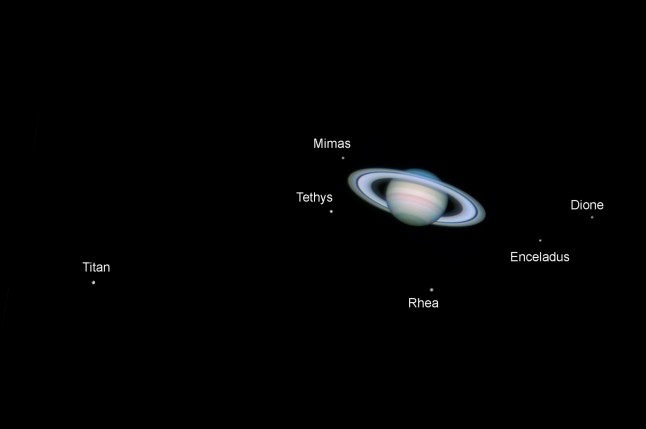 UNITED KINGDOM - MAY 30: Saturn, by Jamie Cooper. This image showing Saturn with six of it's moons was taken on 26th January 2006 at 22:11 hrs UT using a webcam attached to a 14 inch Schmidt-Cassegrain telescope. The moons are from left to right: Titan, Mimas,Tethys, Rhea, Enceladus and Dione. (Photo by Jamie Cooper/SSPL/Getty Images)