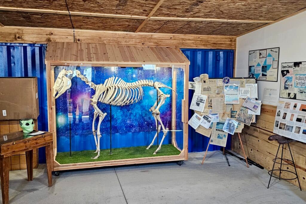 A horse skeleton stands in a glass case with a starry background