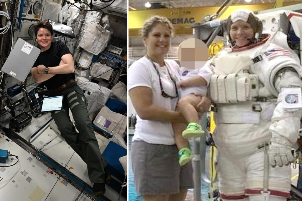 Estranged wife of NASA astronaut pleads guilty to falsely alleging the first crime committed in space Estranged wife of NASA astronaut pleads guilty to falsely alleging the first crime committed in space