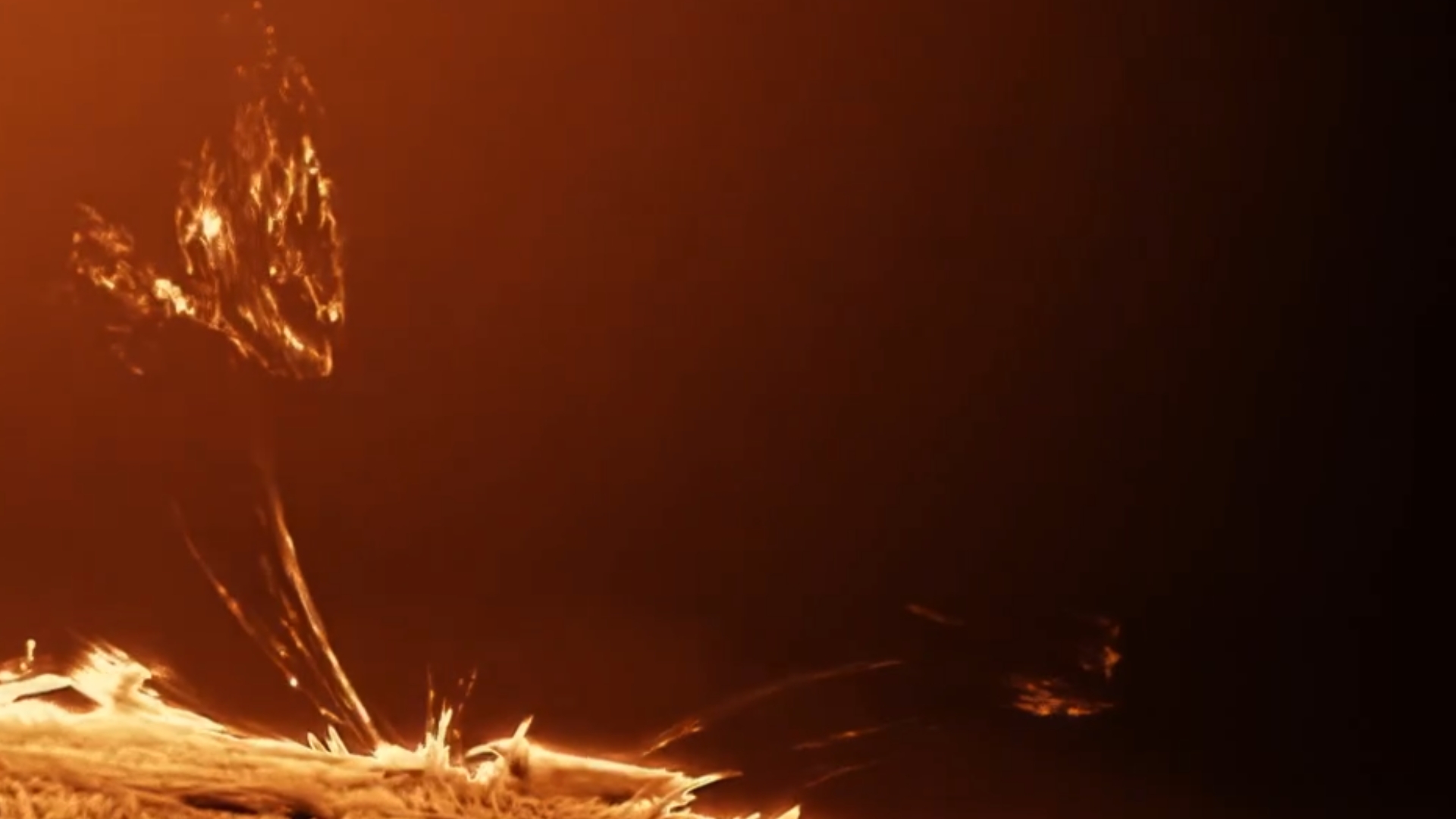 a close up view of the sun with a fiery tendril extending from the surface out into space and looping back down. the sun's surface looks fuzzy and soft, like you'd want to touch it - but you really shouldn't.