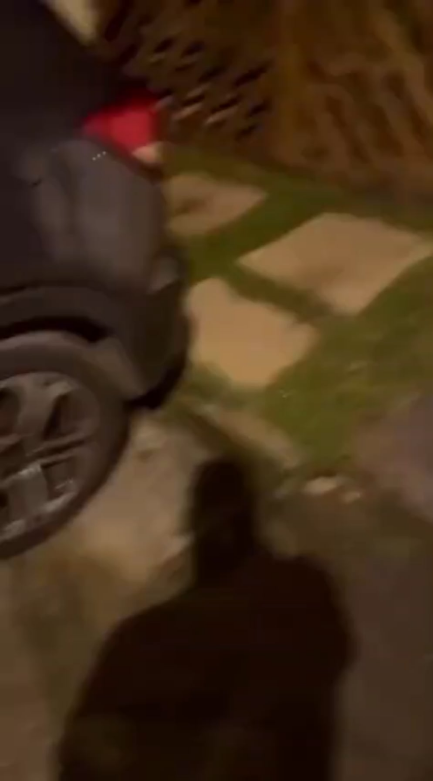 Seen in Brazil, October 24, 2025