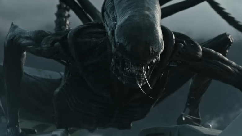 Black Xenomorph screaming and slobbering in Alien: Covenant