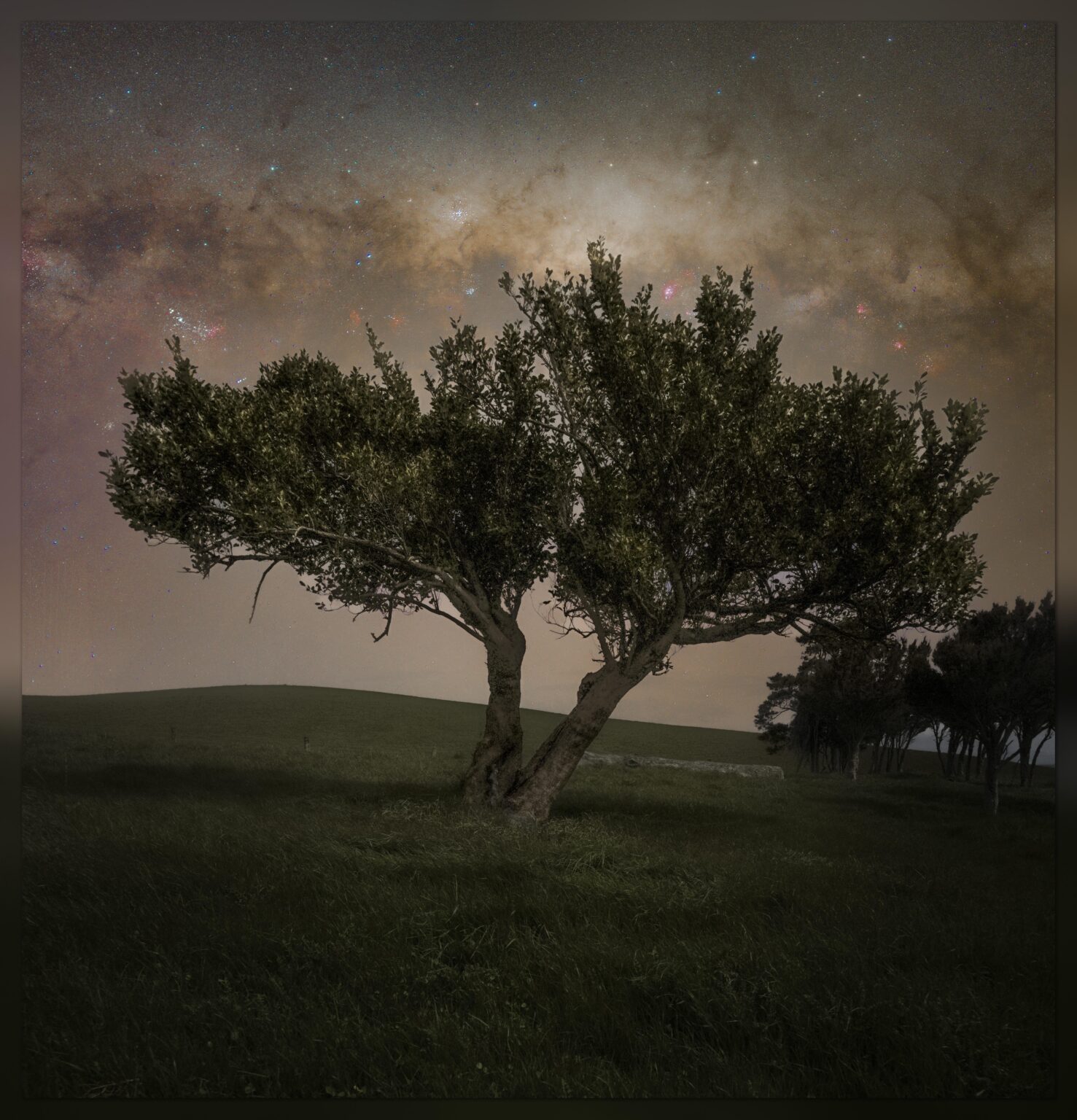 The split | Southland, New Zealand