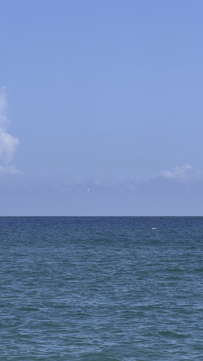 Odd Object off Palm Beach Coast