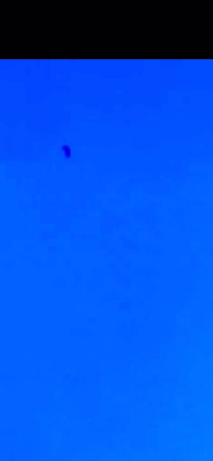 Serious, great sighting captured using skywatcher method