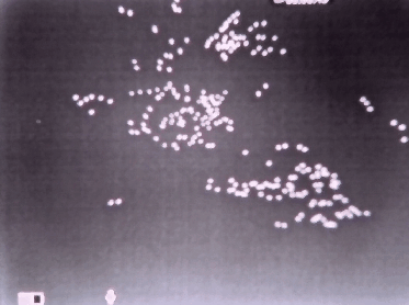 Thermal Thank you - thanks - giving