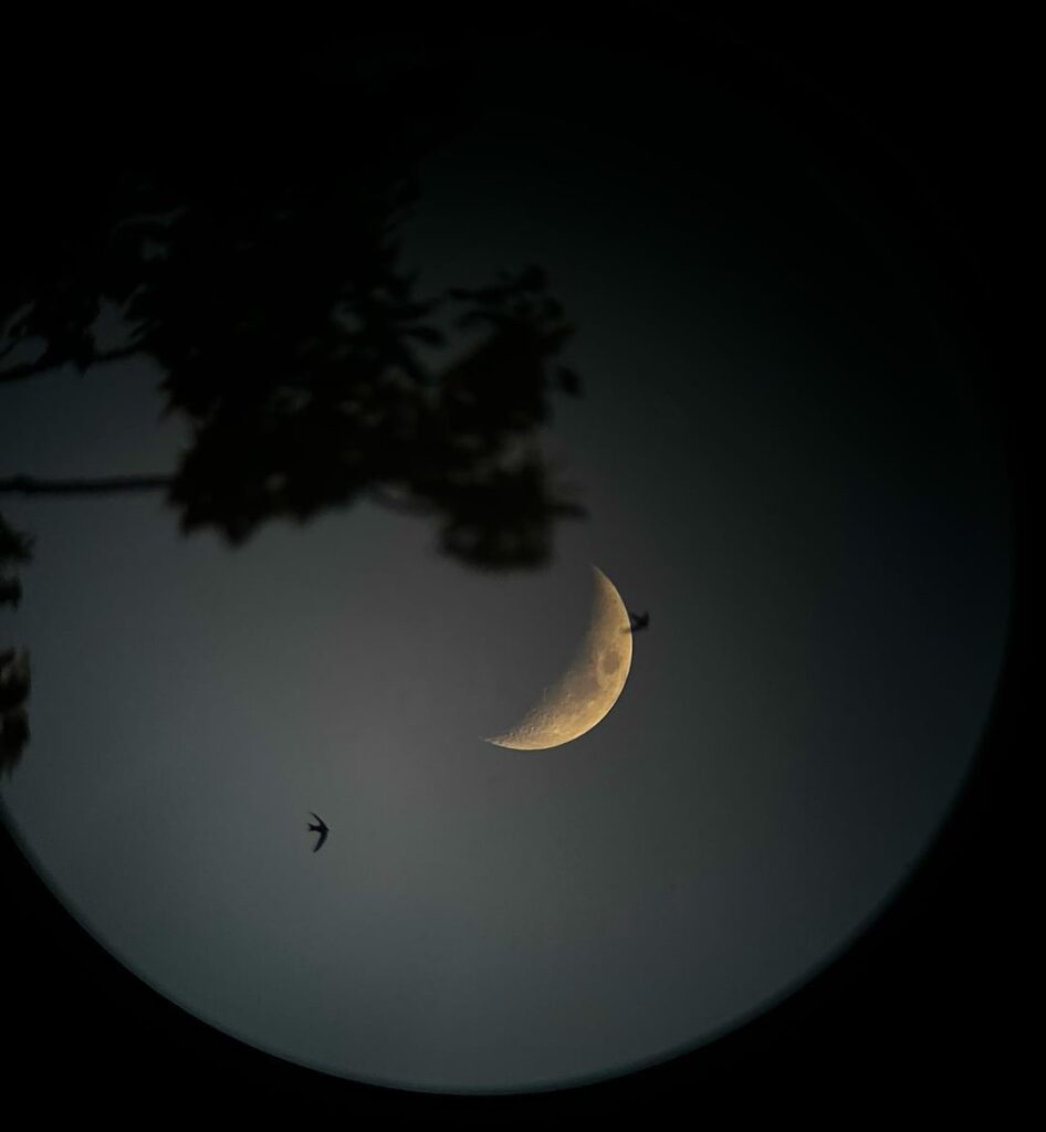 A couple shots of the moon I managed to take so far