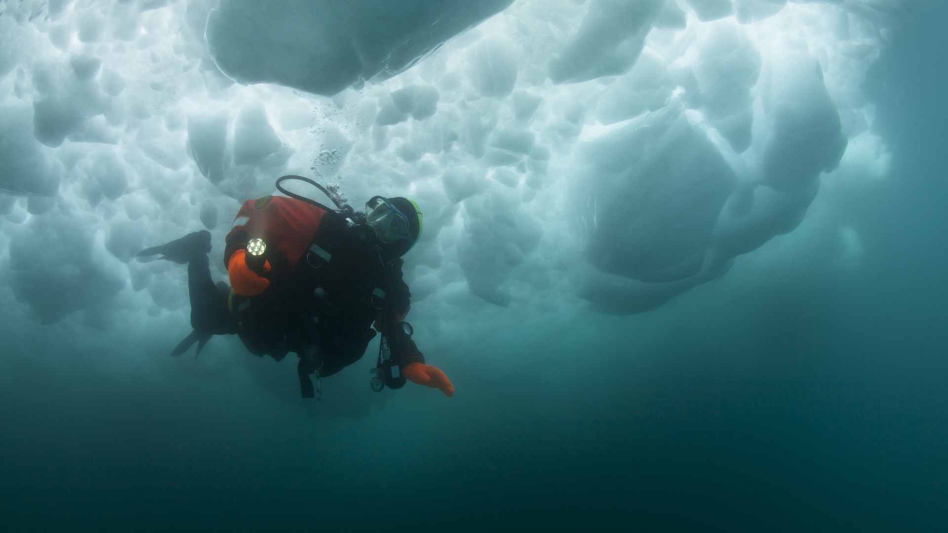 a scuba diver underwater