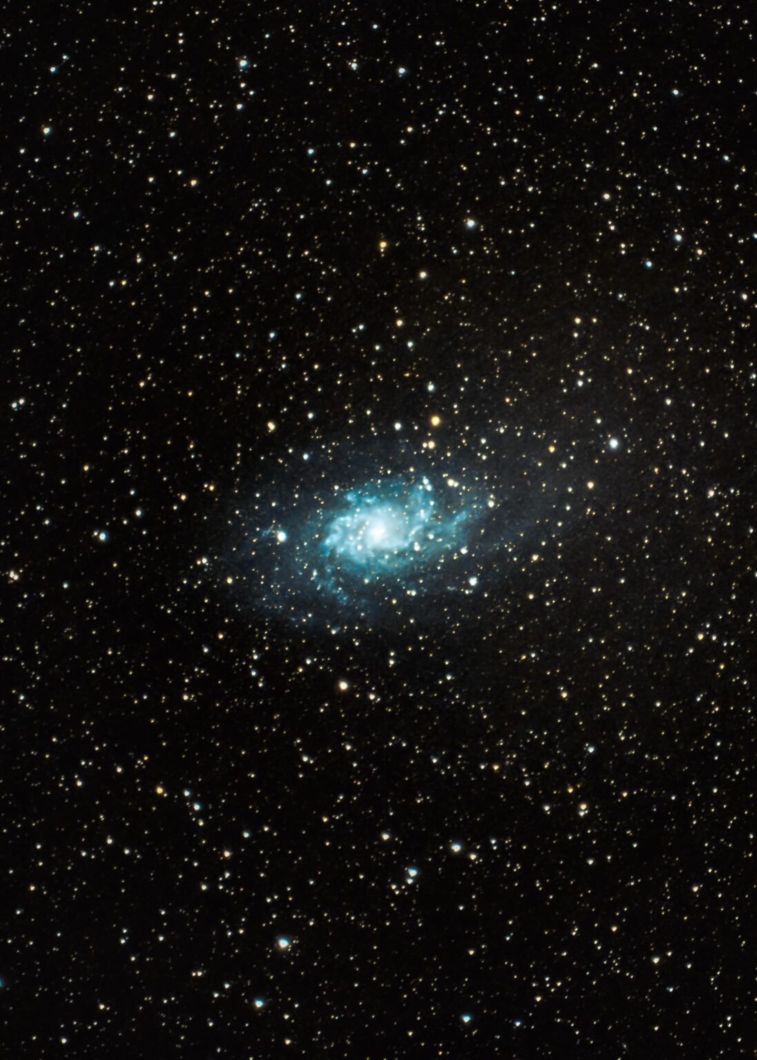 M33 - Triangulum Galaxy