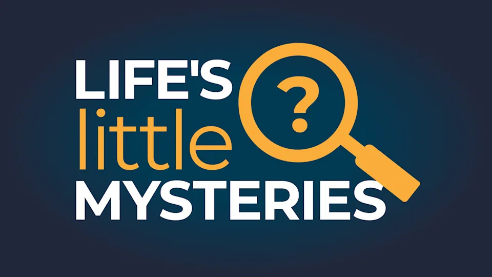 The words 'Life Little Mysteries' over a blue background