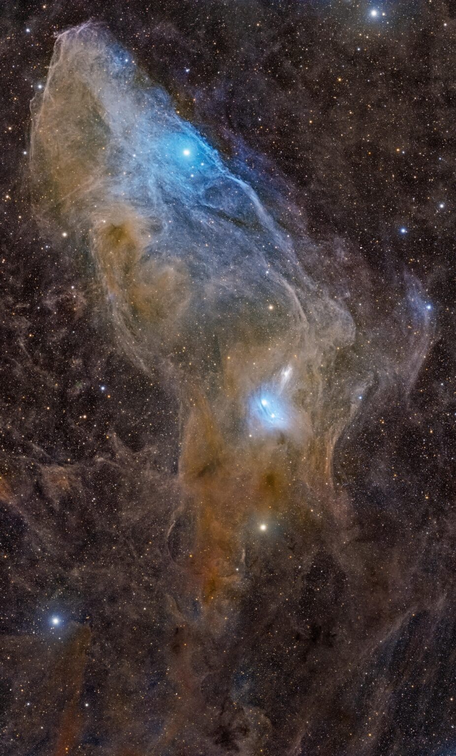 IC 4592: The Blue Horsehead Nebula (4 Panel Mosaic)