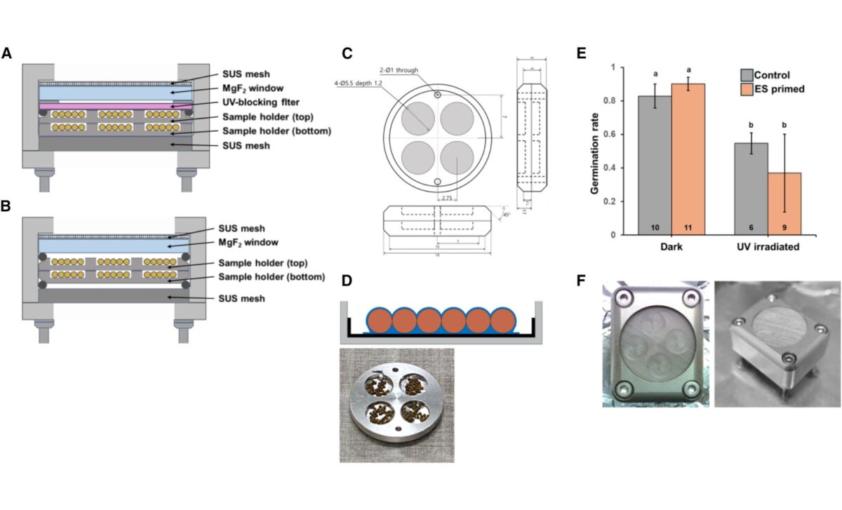 Design Of The Space Exposure Unit And Assemblage Of Samples For The Space Exposure Experiment