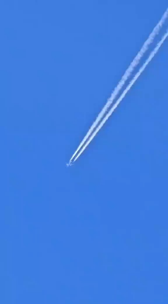 NOT the plane. What’s under it? (Read the caption)