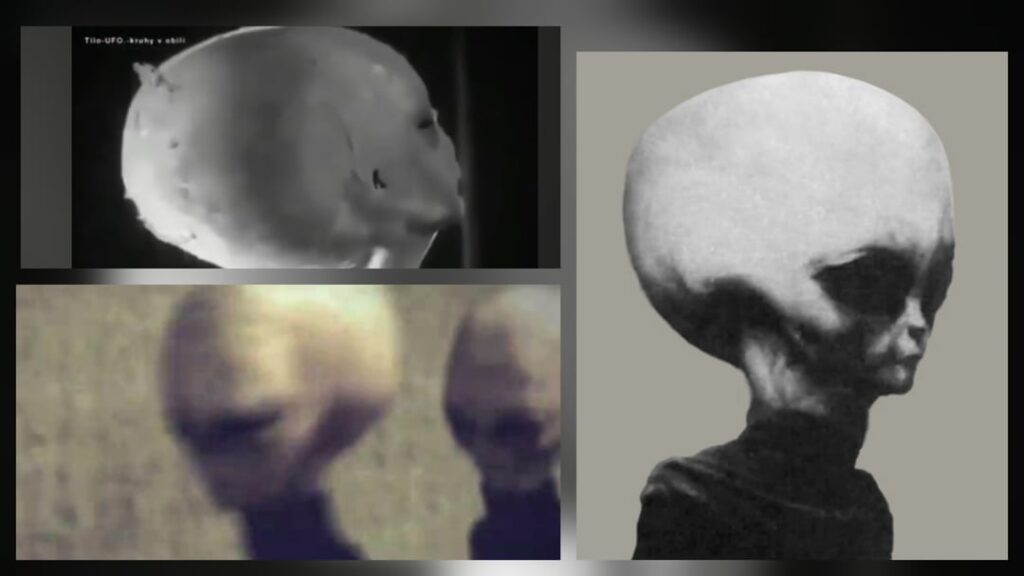 Brazilian video of an alien corpse similar to "Skinny Bob"