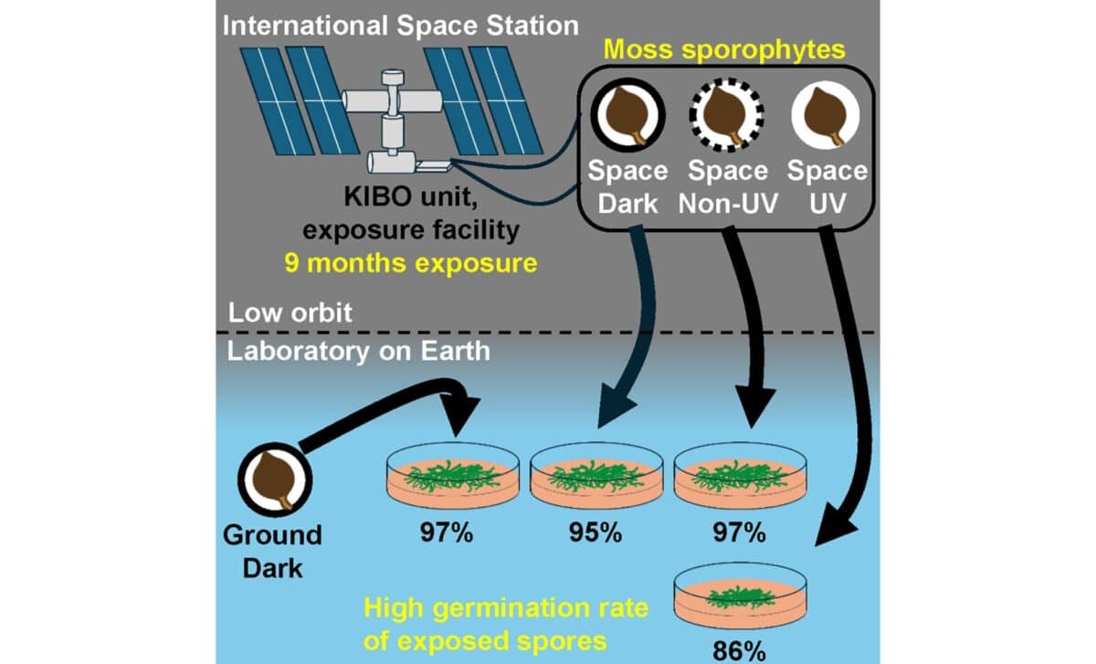 Graphical Abstract Of The Study