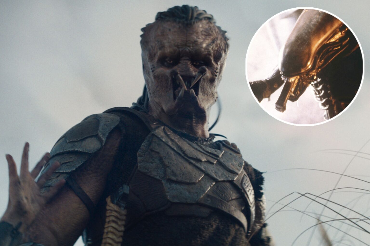 Will Dan Trachtenberg Make an Alien vs. Predator Movie?